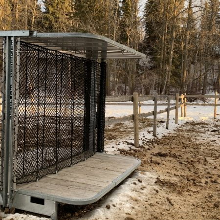 a beautiful horse feeder