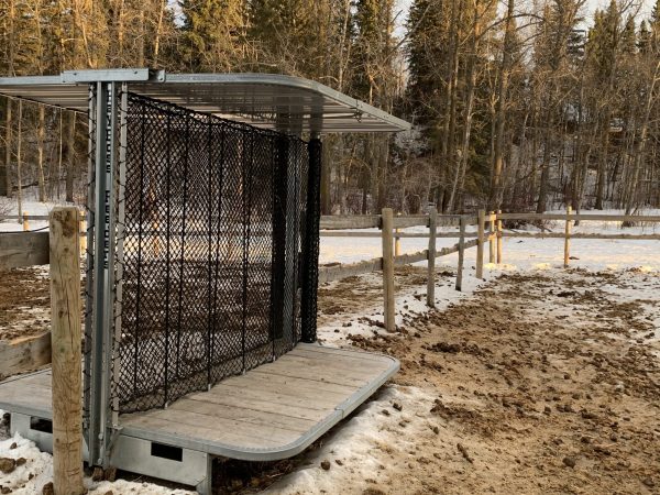a beautiful horse feeder