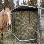 a horse is preparing to have foods in front of a feeder
