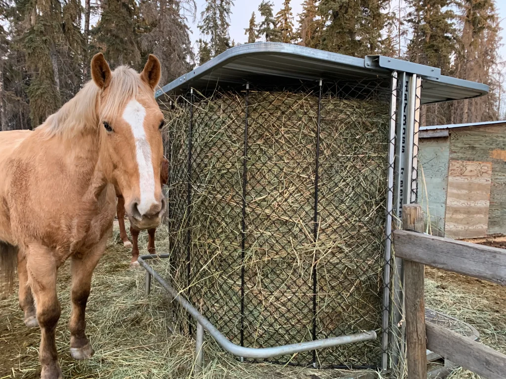 hay feeders: yasy to use