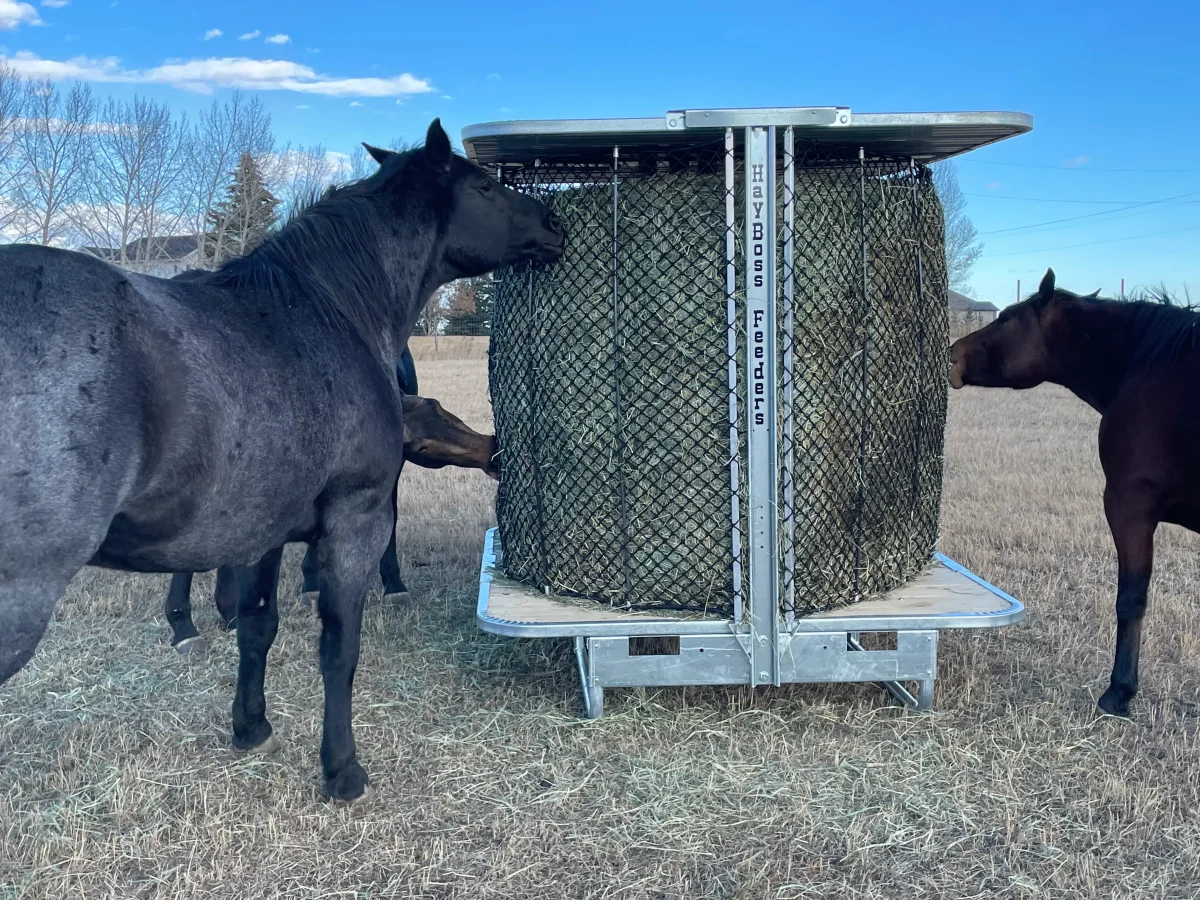 how hay feeders can make your life easier