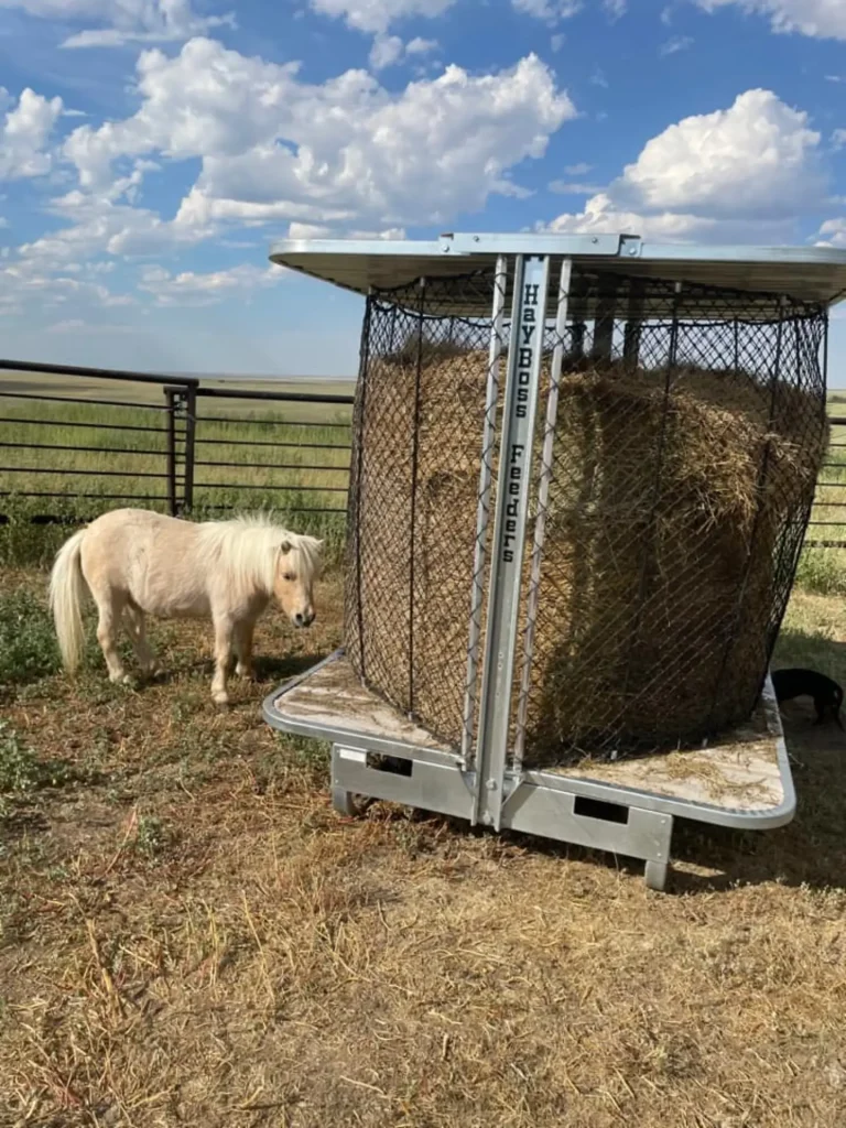 a white horse is preparing to eat from the round bale feeder
