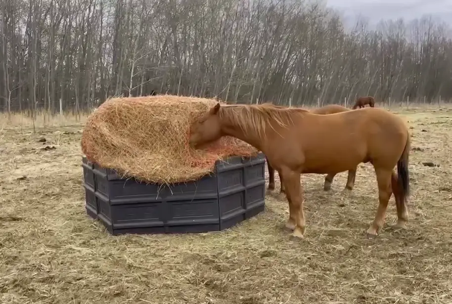 round bale feeders form hayboss feeders