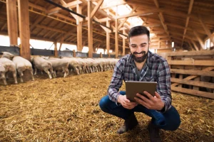 mobile feeder improves livestock and land health