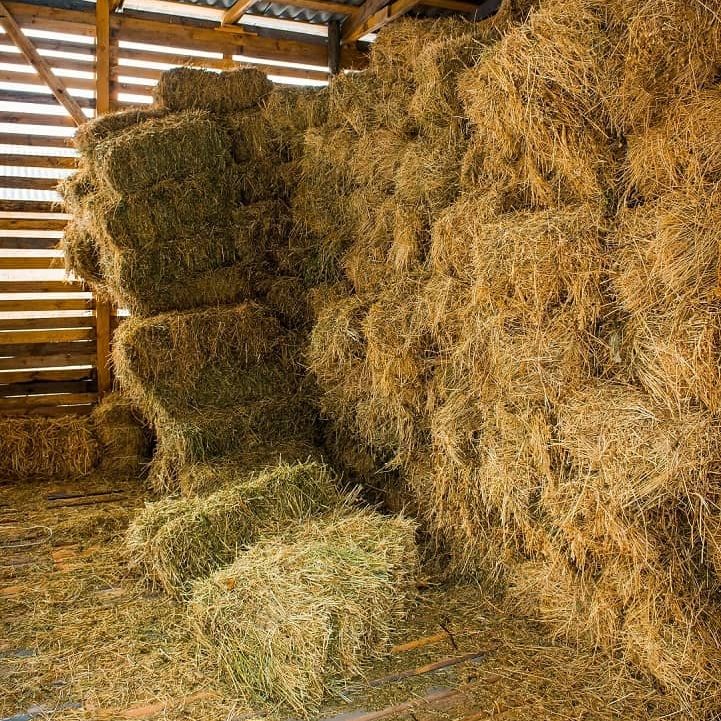 Indoor Hay storage