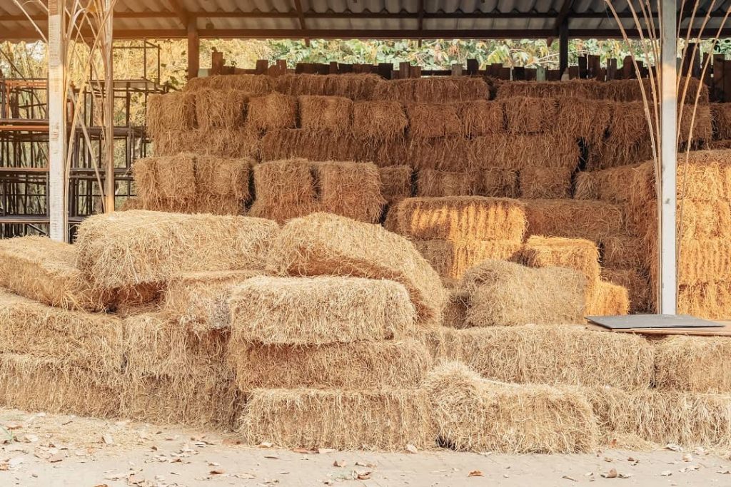 Hay Stacking