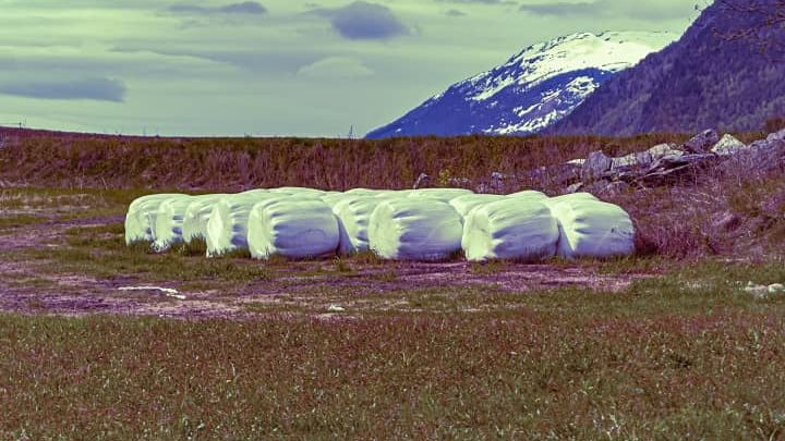 hay bale covered