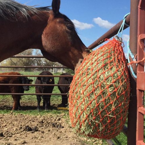 hay bag feeder